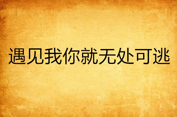 遇见我你就无处可逃