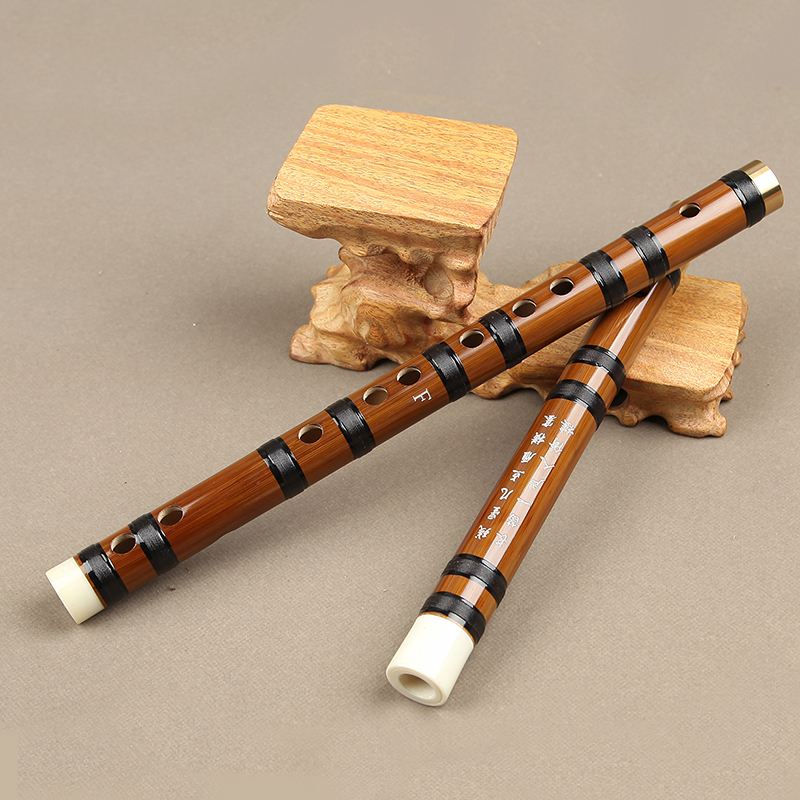 sdlc">作为 a target="_blank" href="/item/中国民族乐器/2000330"