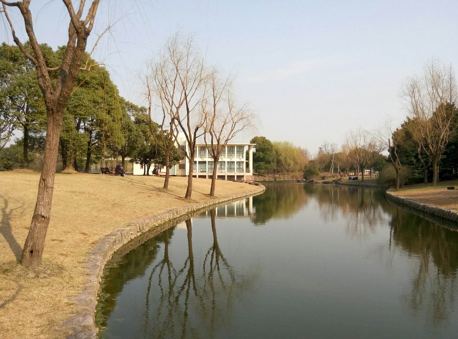 浦东高桥滨江森林公园