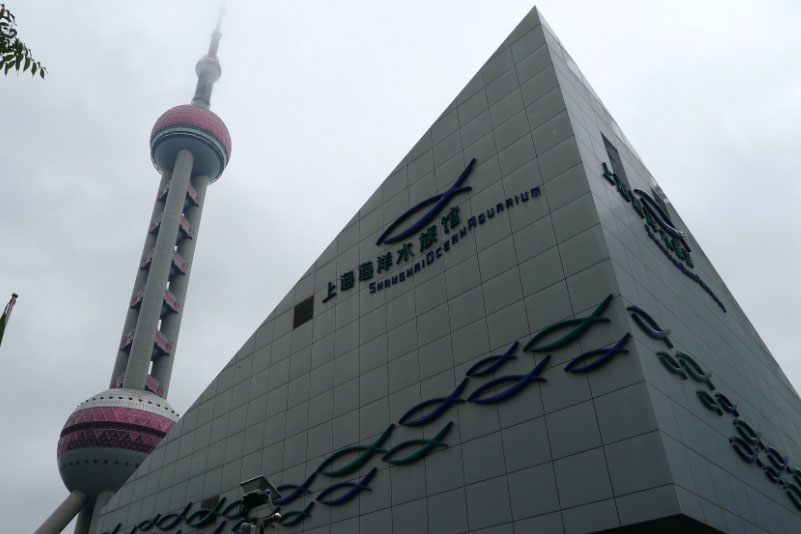  p>上海海洋水族馆位于中国上海市浦东新区陆家嘴环路1388号,紧邻