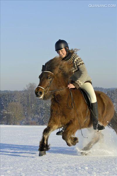  p>世上保持最纯洁血统的 a href="#" data-lemmaid="10530701">马种 