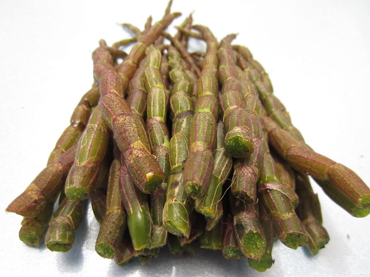  p>白石山铁皮石斛,广西壮族自治区贵港市 a target="_blank" href="