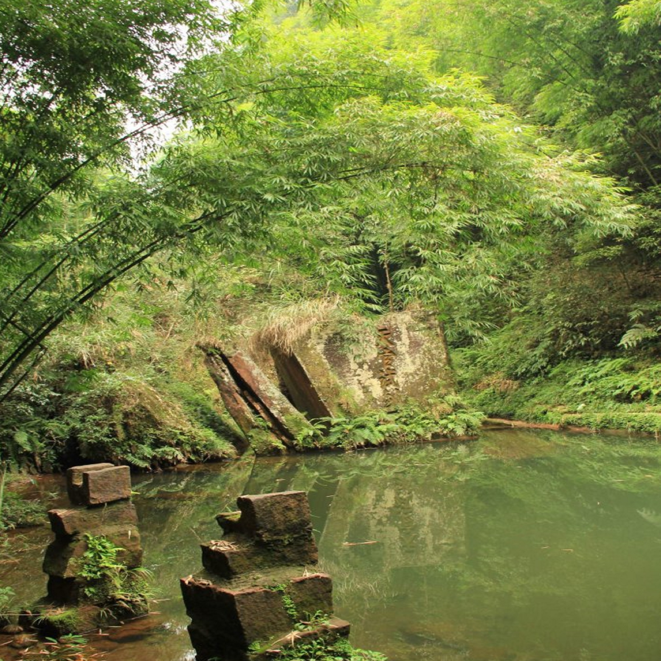 芦沟竹海位于中国四川省邛崃市,是距离成都