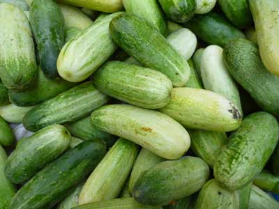 山黄瓜