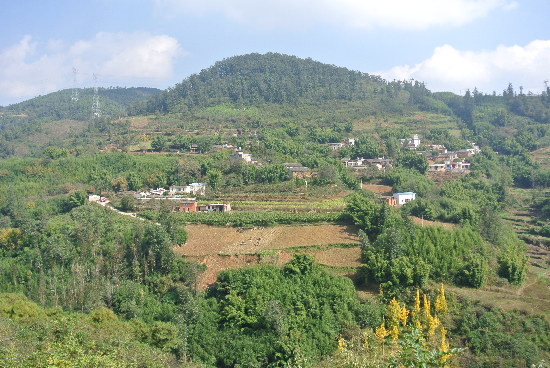  p>大箐村隶属于力角乡(镇)海良行政村,属于坝区.