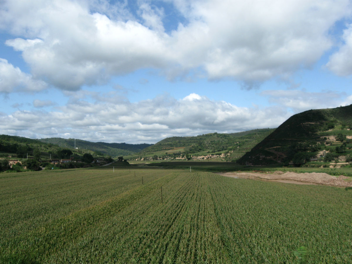 即广义的"子午岭",包括横岭,斜梁,老爷岭,青龙山,子午岭(狭义)等山脉
