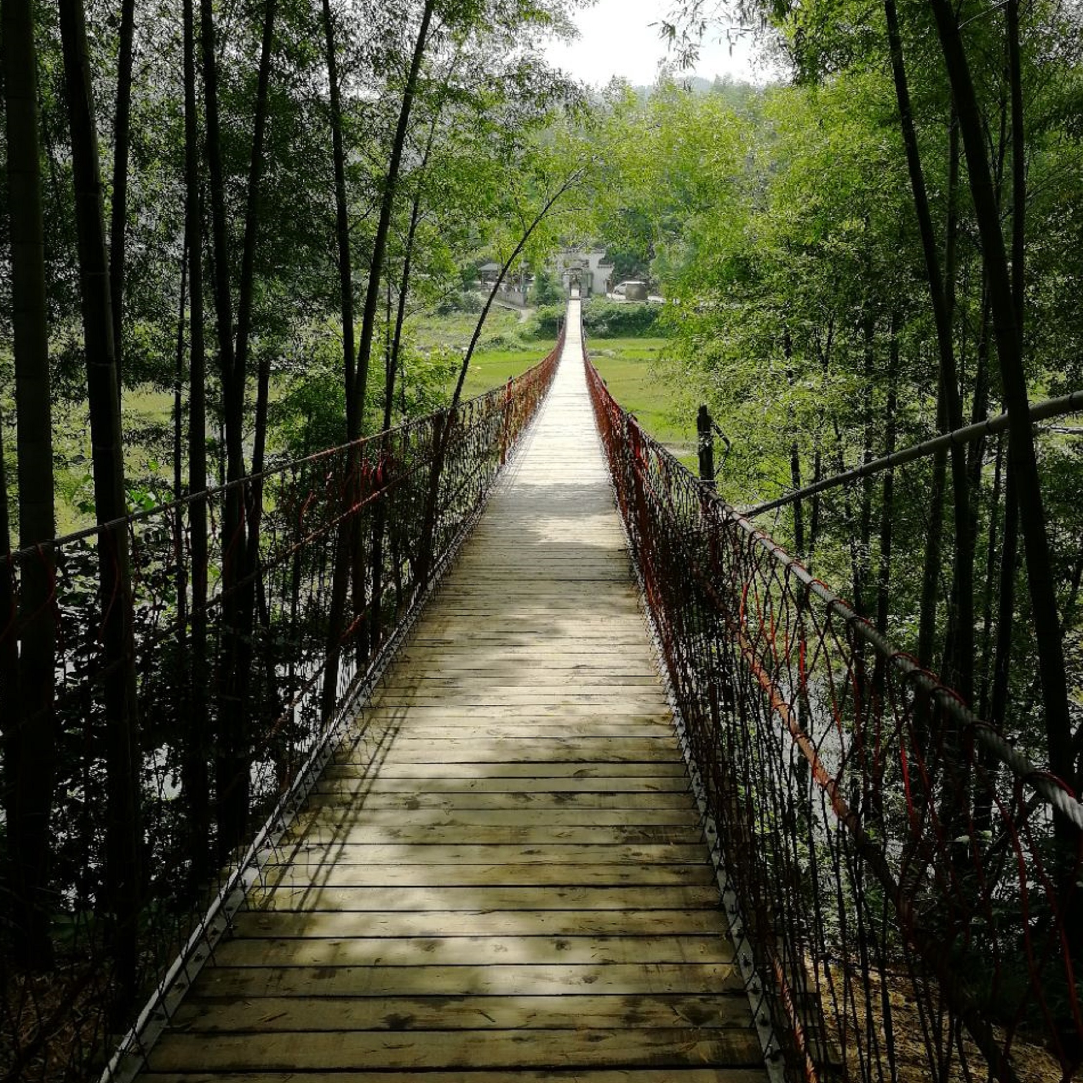 梅岭风景名胜区位于江西省 a target="_blank" href="/item/南昌市">