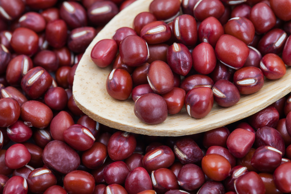 vigna angularis (willd.) ohwi et ohashi
