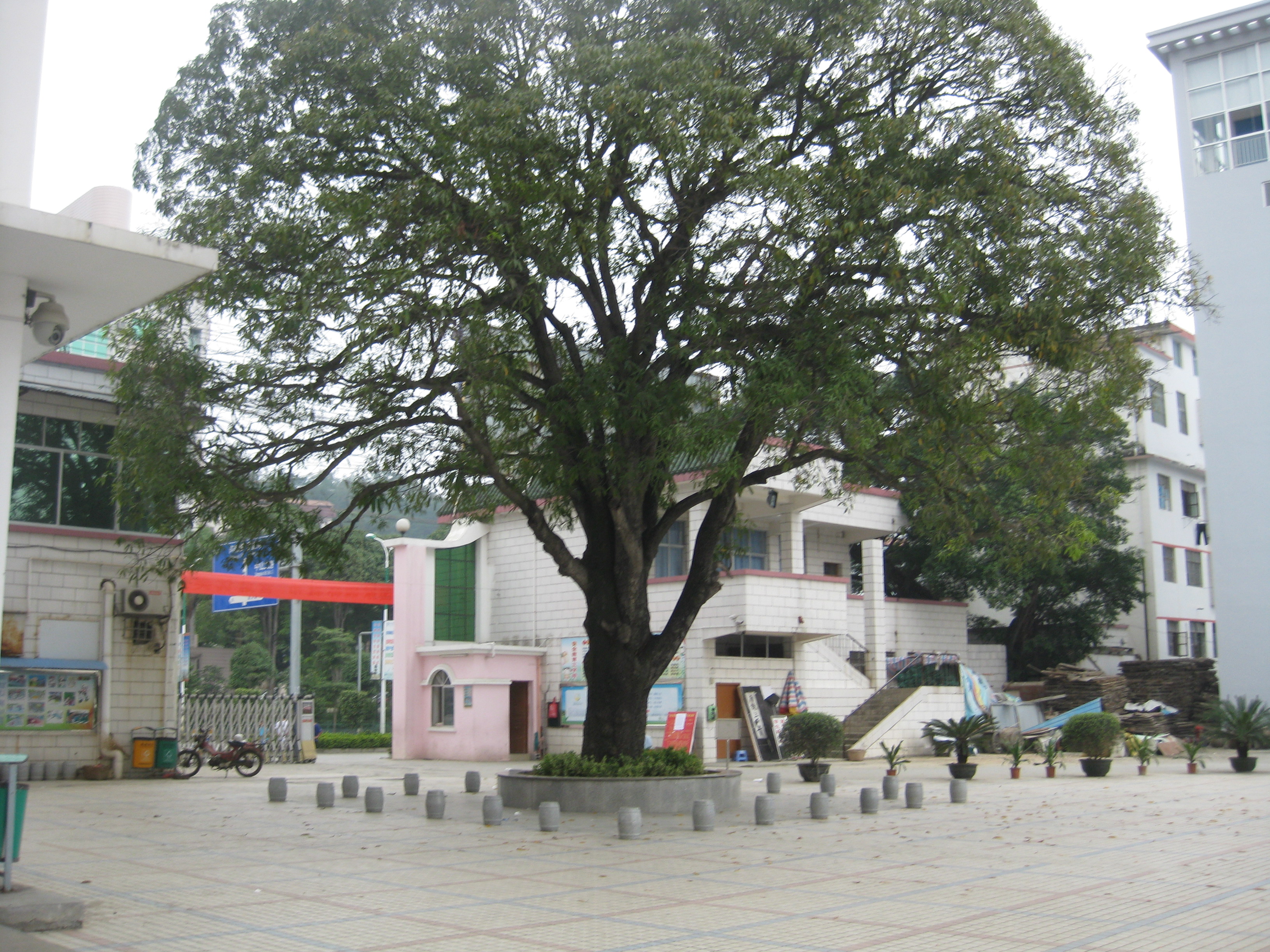  p>百色市实验小学始建于1960年.
