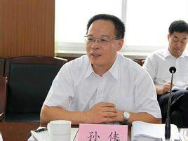  p>孙伟,男,出身贫困山区, a target="_blank" href="/item/西南政法