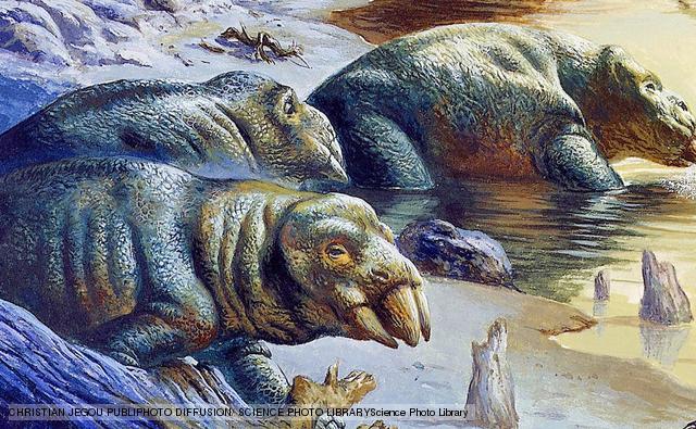  p>肯氏兽是一种生存于三叠纪的古爬行动物.