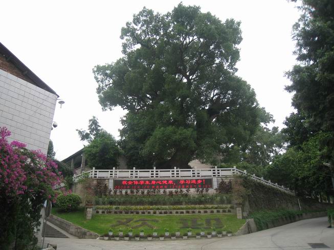福建省福安第一中学