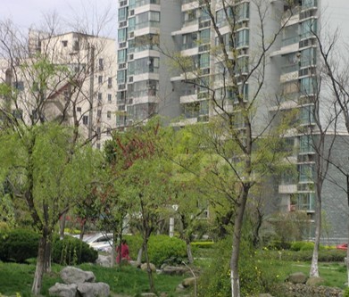 嘉利明珠城