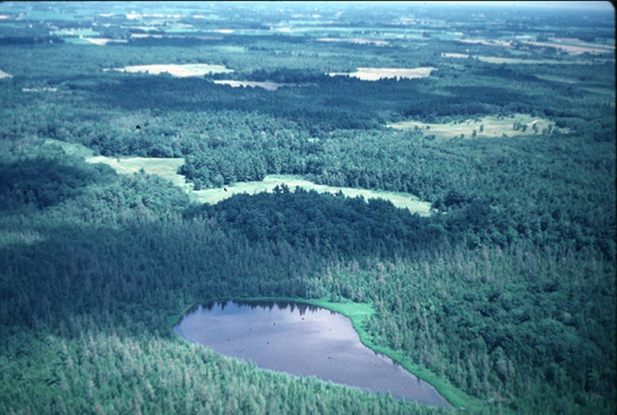  p>生态系统,简称eco,是ecosystem的缩写,指在自然界的一定的空间内