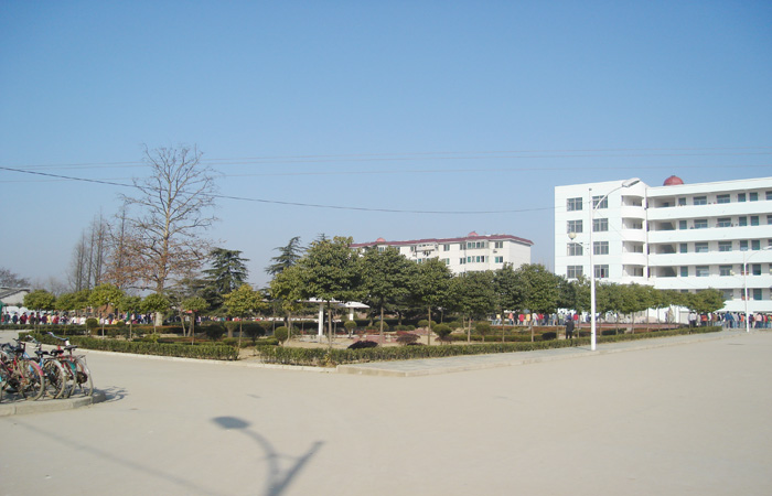 安徽省庐江盛桥中学