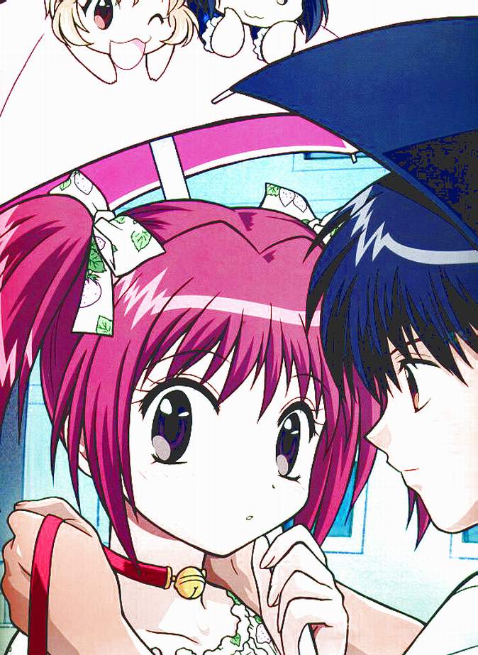 《 a target="_blank" href="/item/东京猫猫/77958" data-lemmaid="