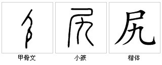 屁股,脊骨的末端:～骨( a target="_blank" href="/item/坐骨