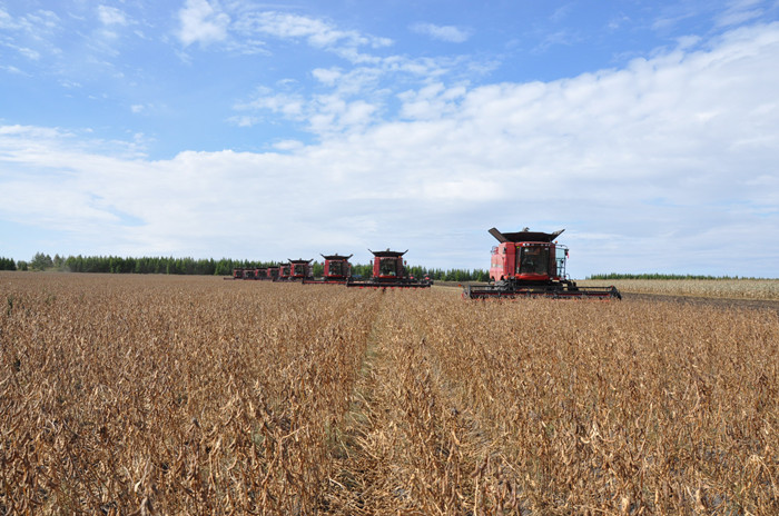  p> a href="#"> /a> /p> p> a href="#">黑龙江省 /a>农垦九三管理局