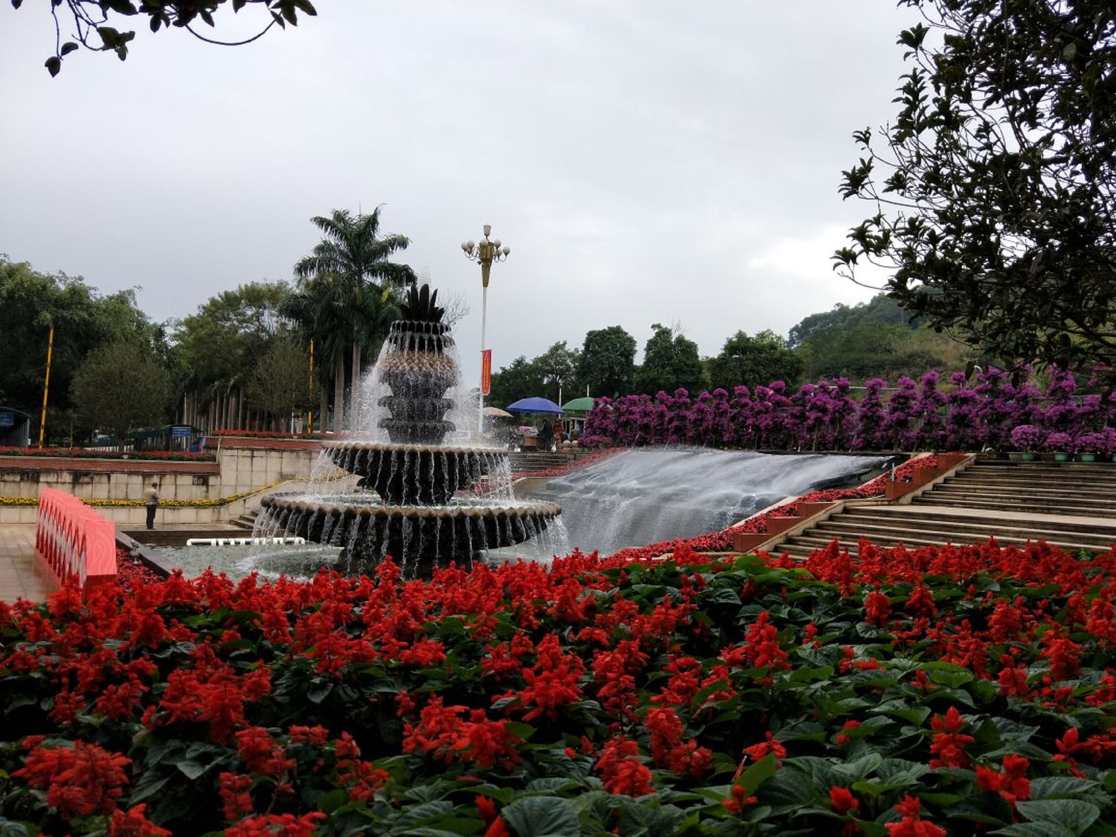  p data-id="gnx7l8kgcc">东南花都占地10000余亩,是国家4a级旅游景区