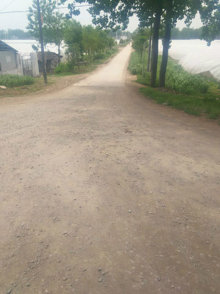 lemmaid="210553">宿州市东北部,隶属埇桥区灰古镇