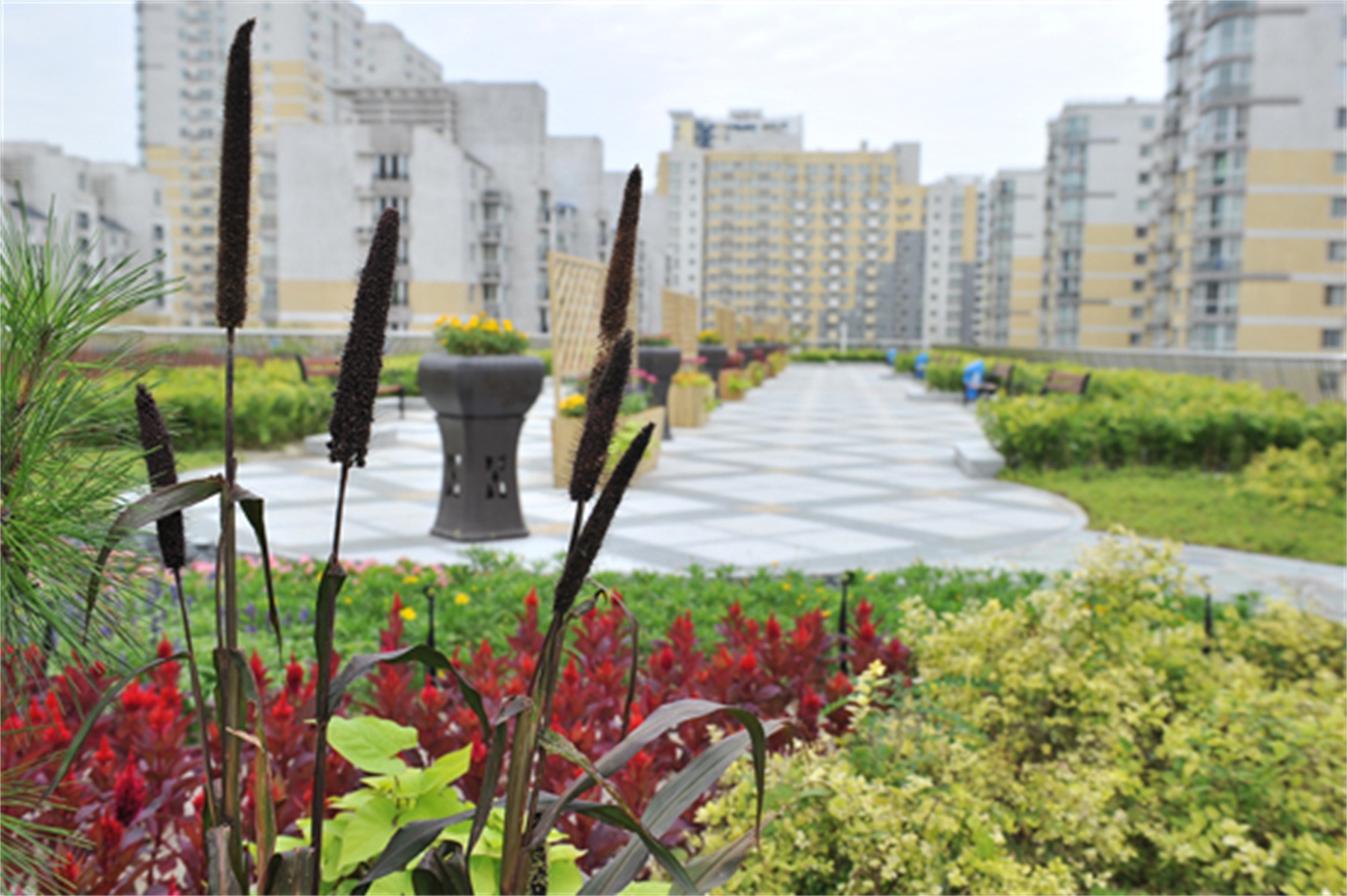 北京市第14中学