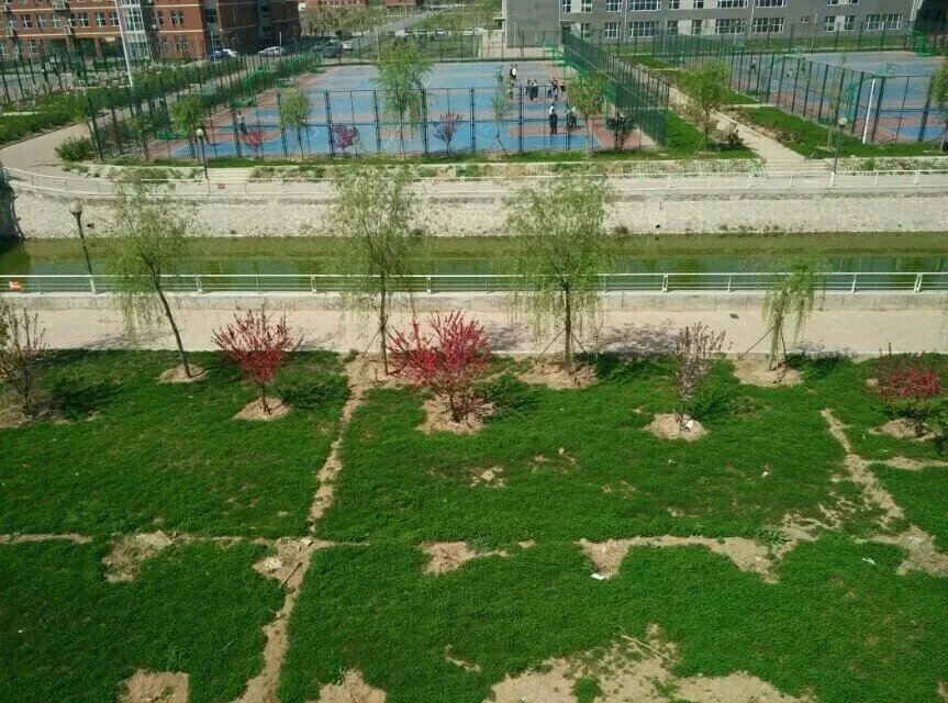  p>沧州一中始建于1913年,为河北省首批重点中学,中学百年名校.