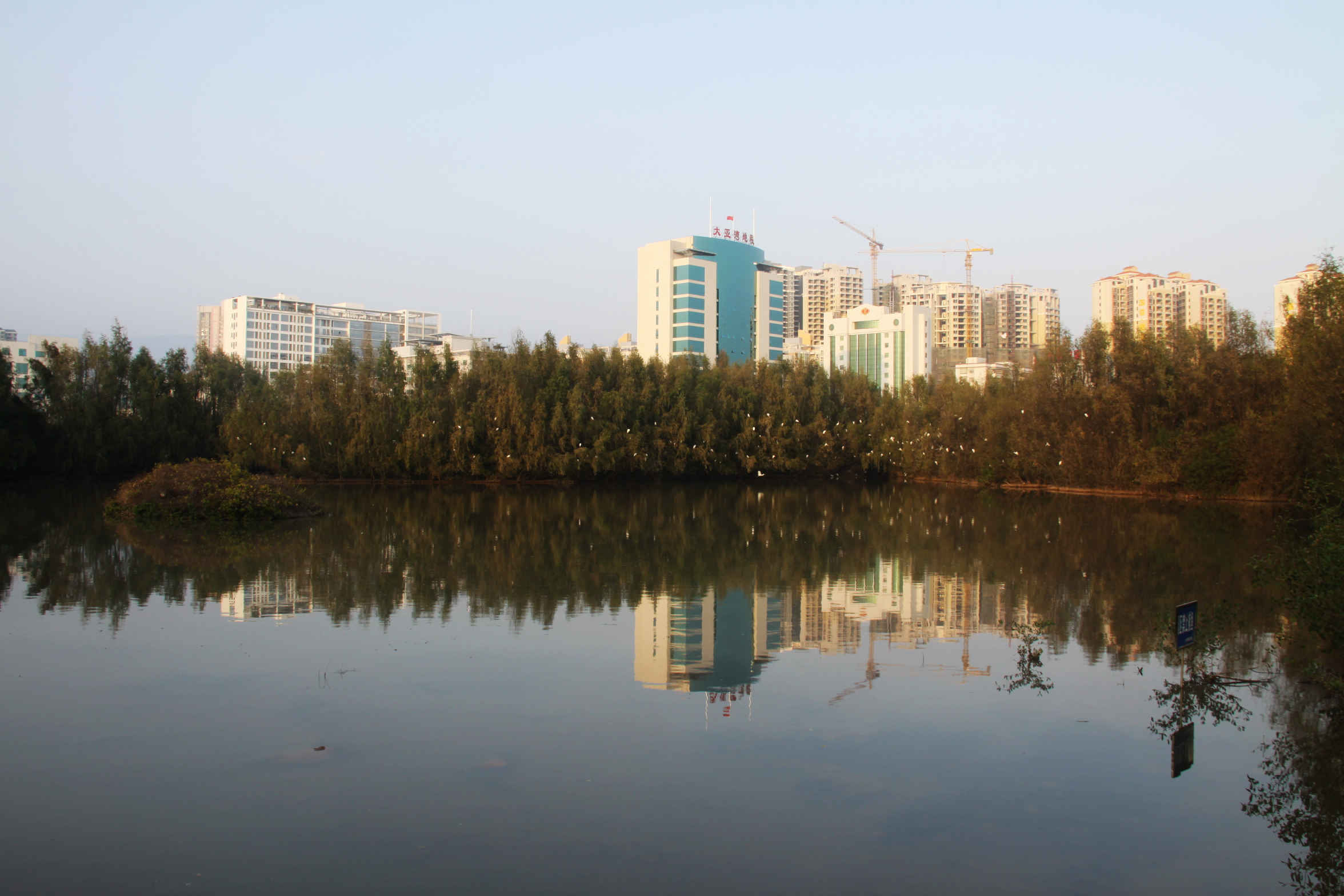 lemmaid="2626655">惠州市 /a>大亚湾经济开发区西区龙海三路响水河