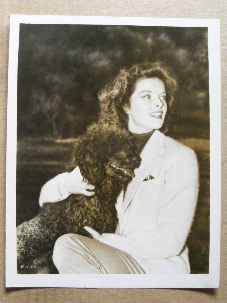 ">霍华德·霍克斯 /a>执导, a target="_blank" href="/item/凯瑟琳