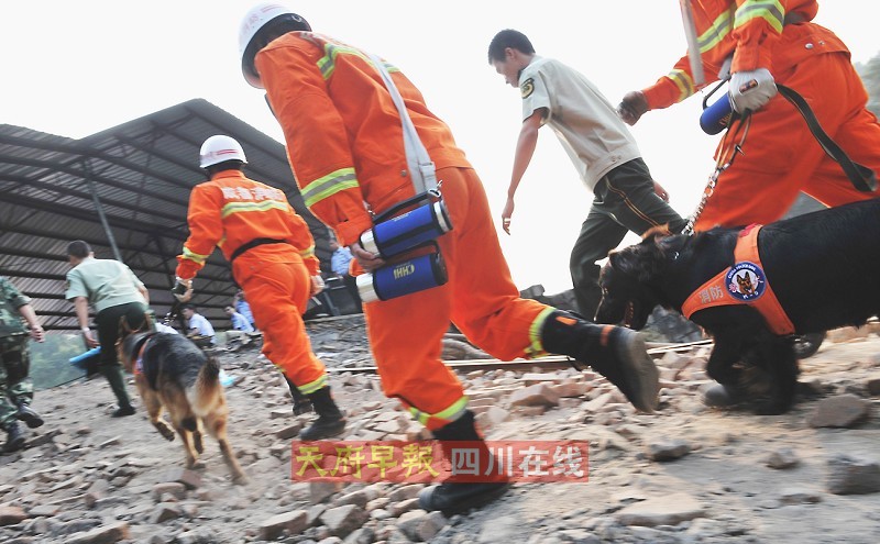  p>飞豹突击救援队隶属于成都市公安消防支队,它是中国在城市中第一支