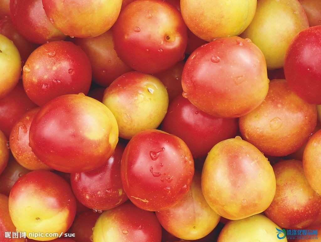 李子英语怎么读-李子英语怎么读onion