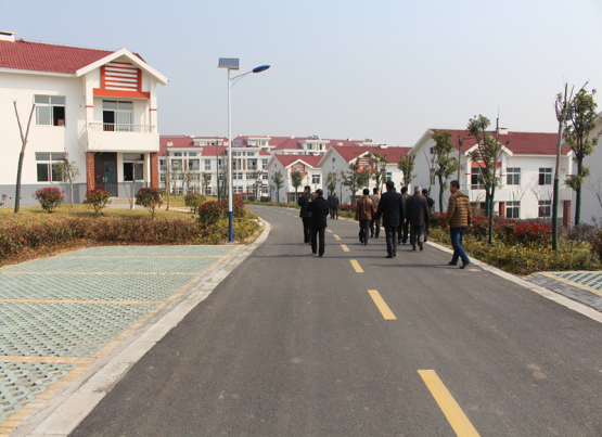 十字镇 全网资源