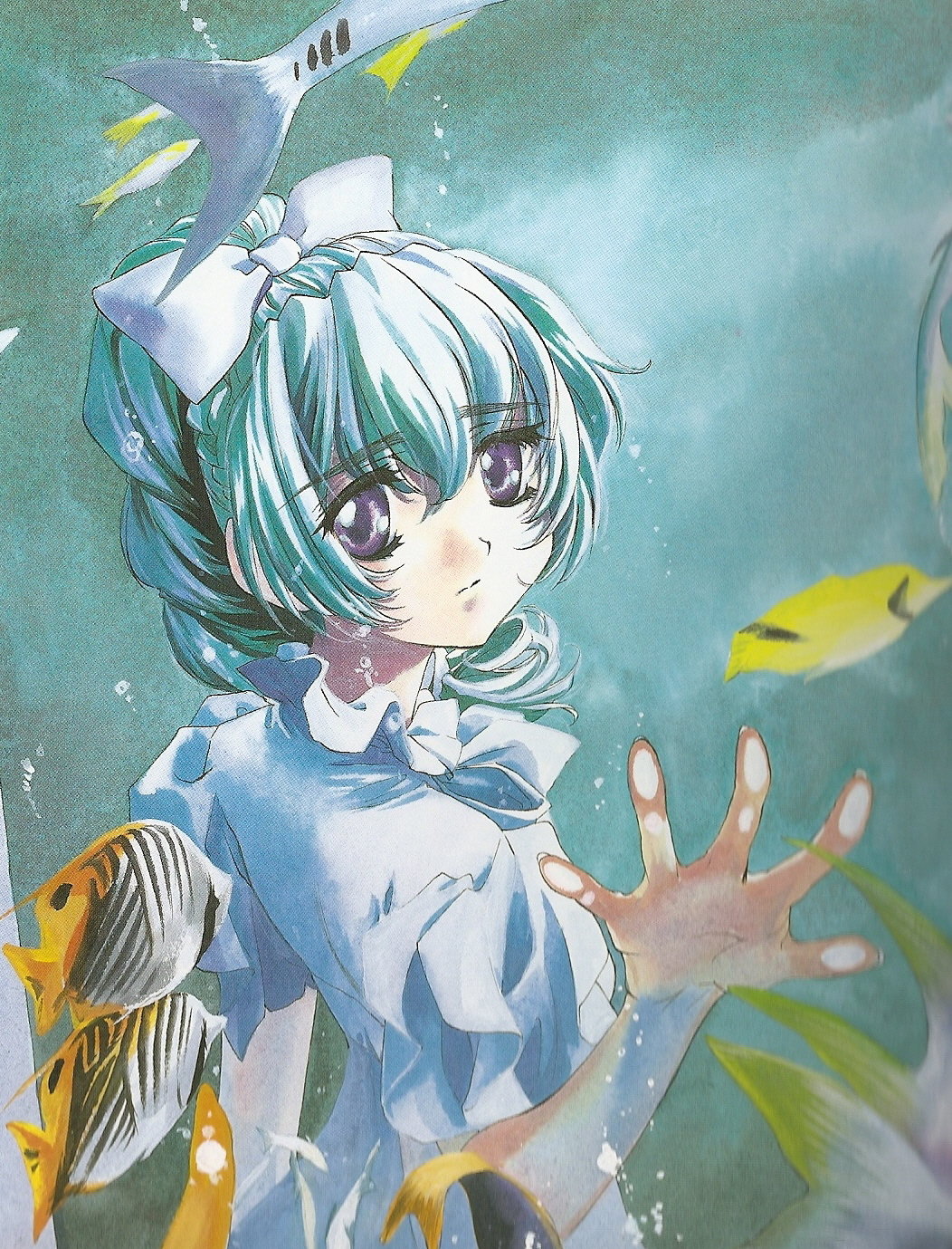 泰蕾莎·泰丝塔罗莎