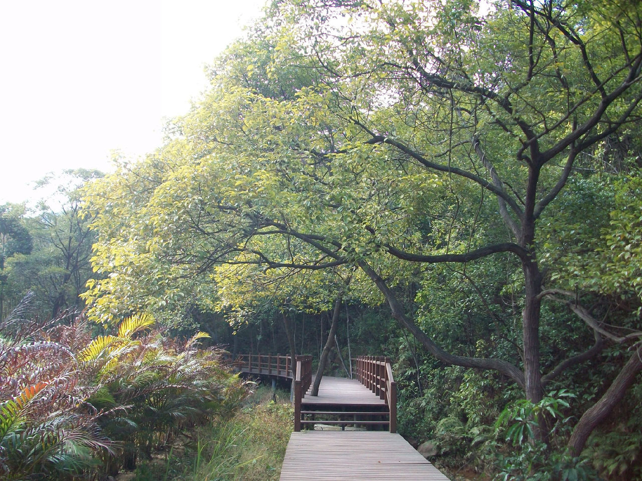 花都芙蓉嶂风景区