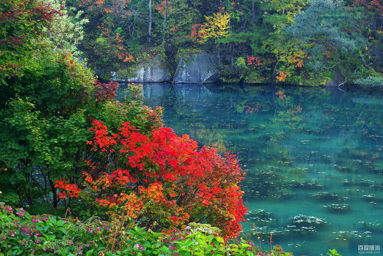  p>福岛县(日文:ふくしま けん;罗马字:fukushima-ken),是日本东北