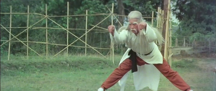  p>《南北醉拳》是中国香港思远影业公司拍摄于1979年功夫喜剧片,由 a