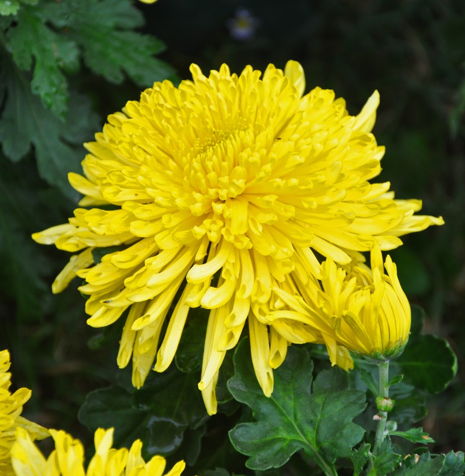 北京市二十五中学