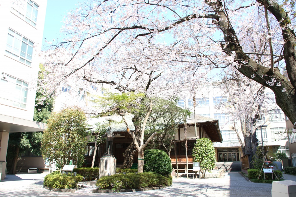  p>国士馆大学(英文:kokushikan university/日文:こくしかんだいがく