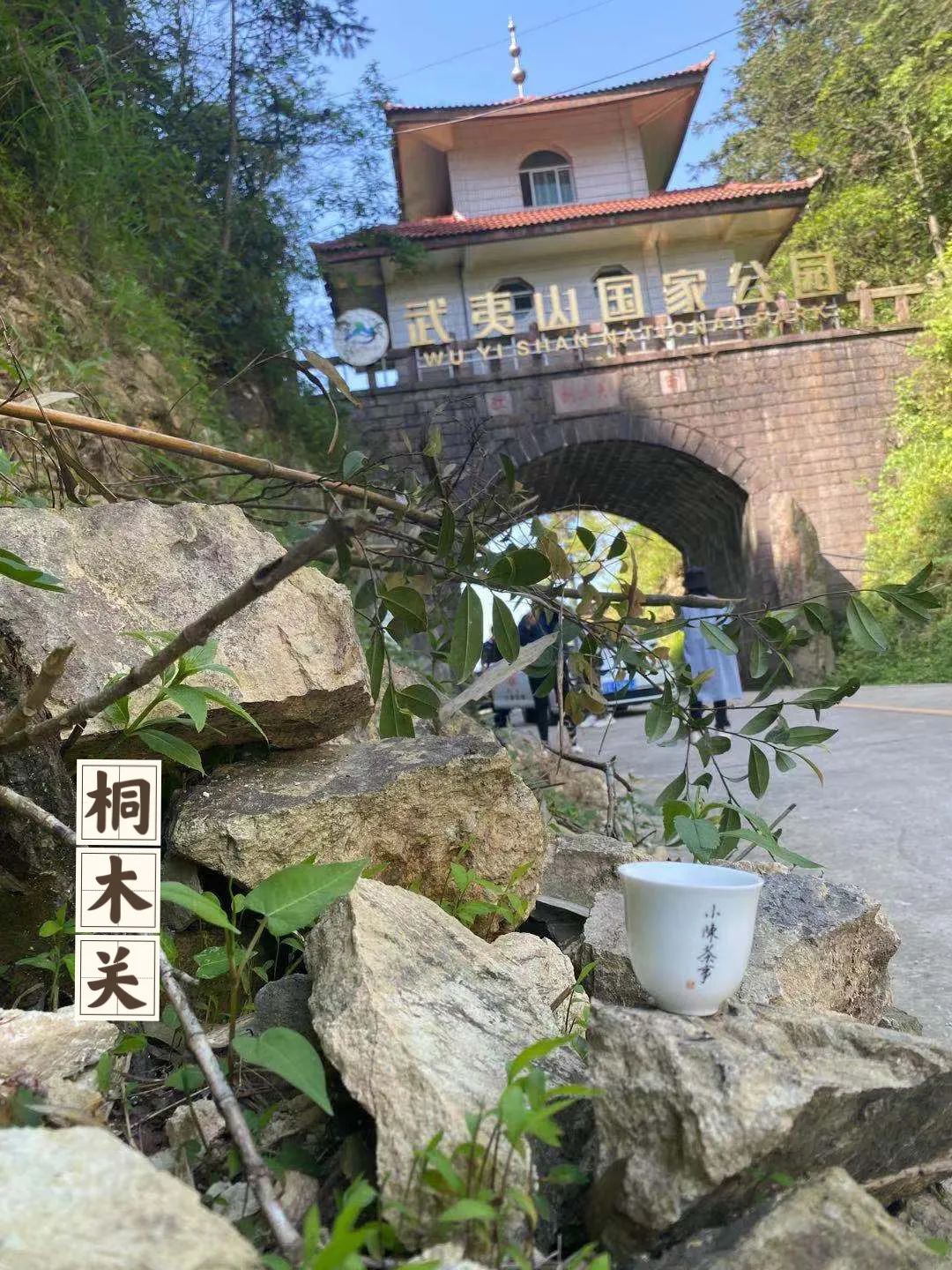 同样都是寻访金骏眉，为何有人去桐木关，要从江西绕道武夷山呢？_百科TA说