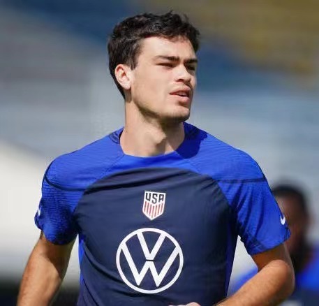  p data-id="gnbhkcwexb">吉奥瓦尼·雷纳(giovanni reyna),全名