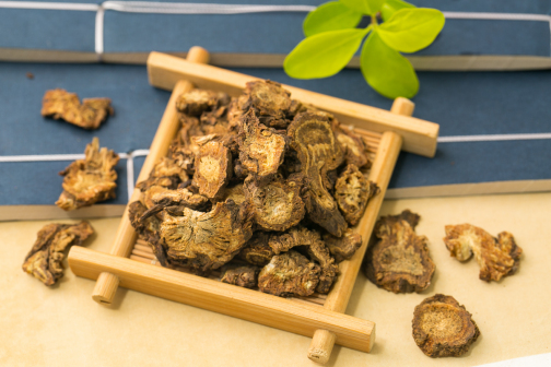 羌活（伞形科羌活属植物）_百度百科