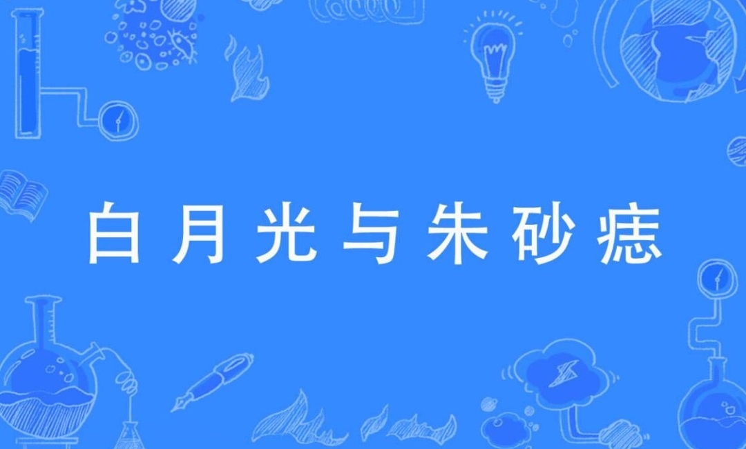 白月光与朱砂痣
