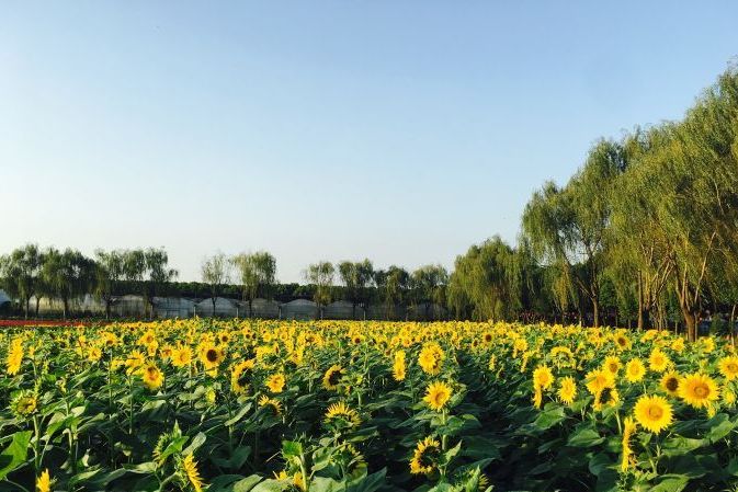 泰州麒麟湾景区