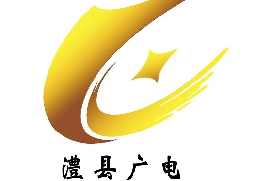 澧县广播电视台