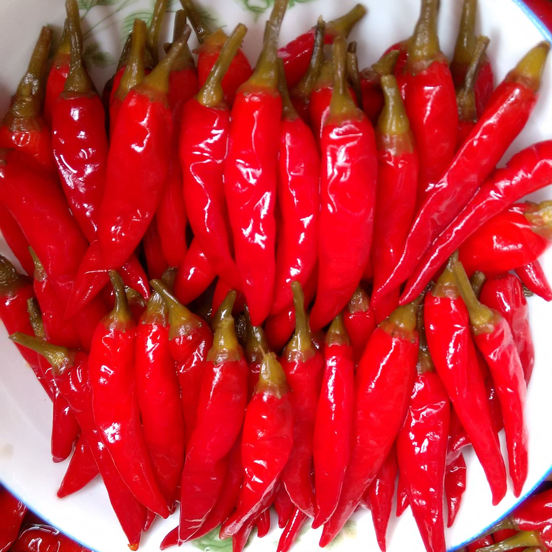 泡红椒
