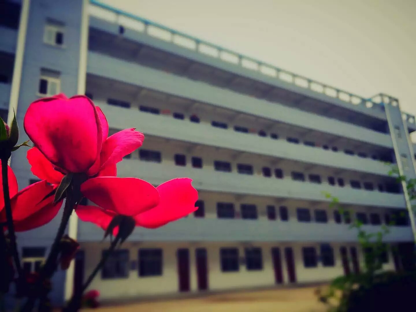 原丰县修远双语学校