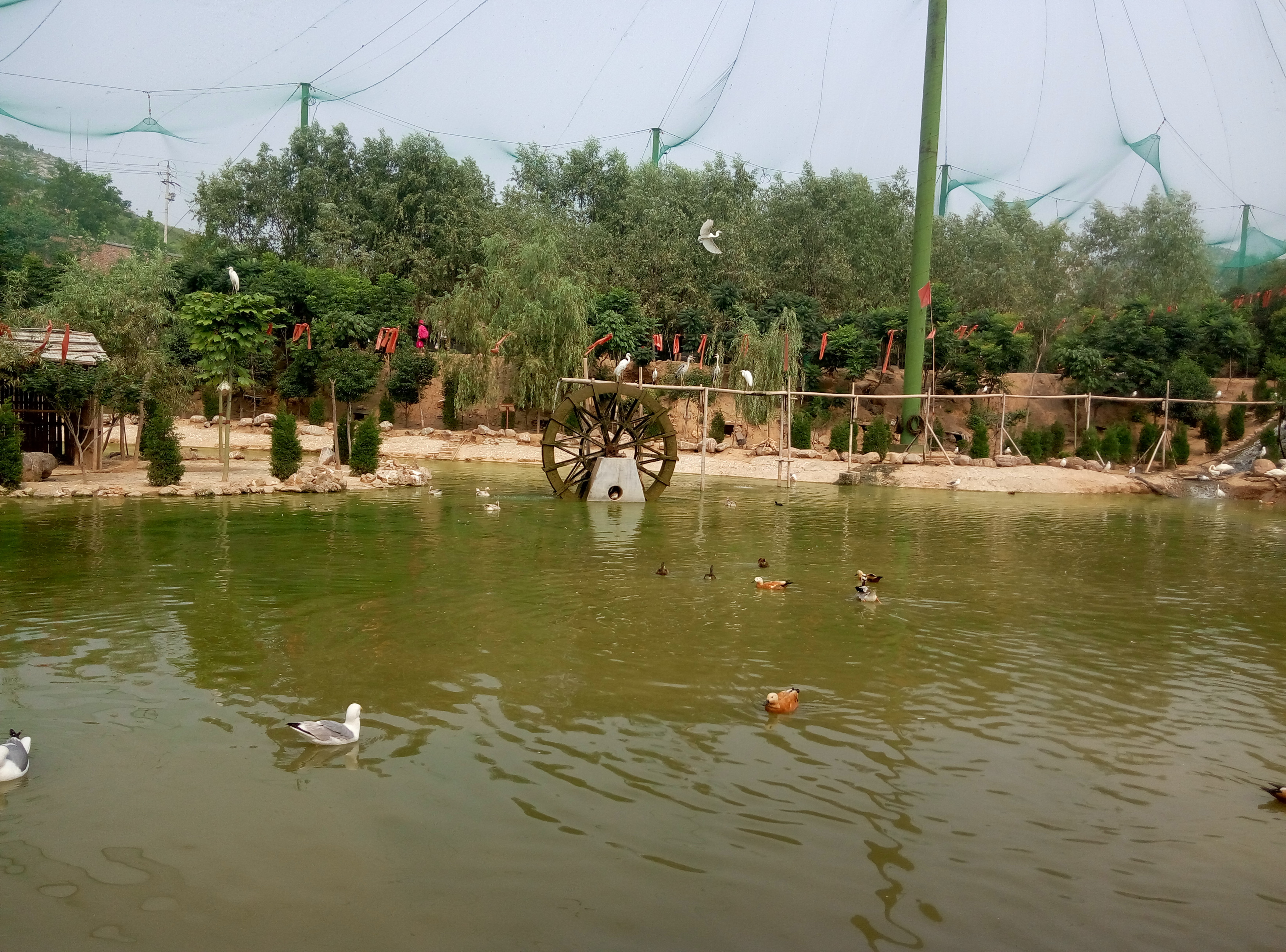 五龙山响水河游乐园