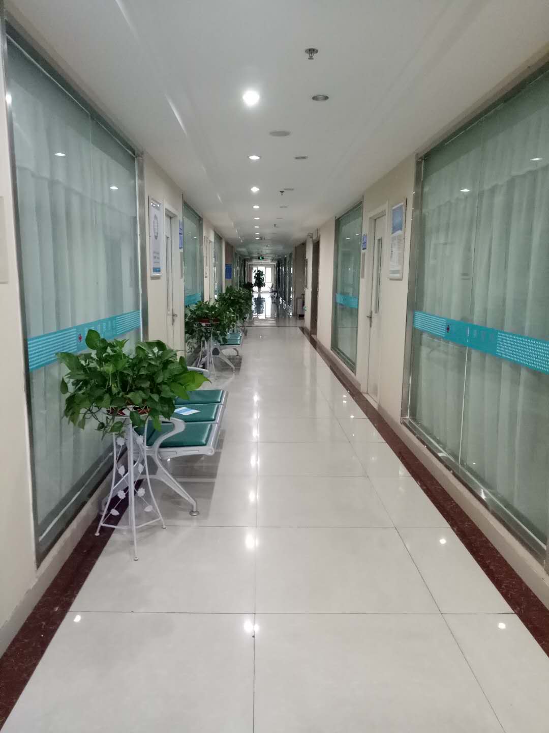 代表人苏龙,公司经营范围包括:妇科,外科,中医科,麻醉,预防保健科,b超