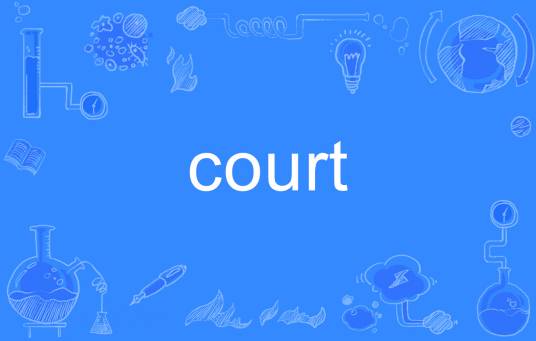 court_百度百科