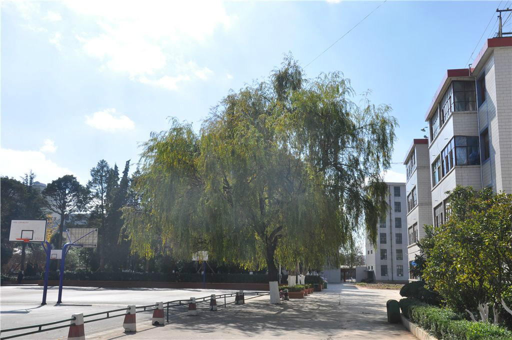 宣威市第六中学