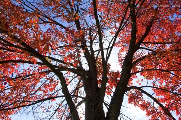  p>哈特福德大学始于1877年,是一所综合性的私立大学.